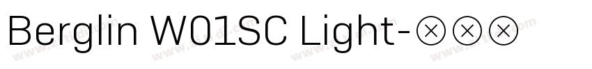 Berglin W01SC Light字体转换